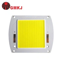300W LED COB dióda pre povodňové svetlo