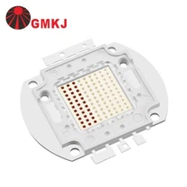 High Power Rgb Led 30W Cob Čip pre povodňové svetlo