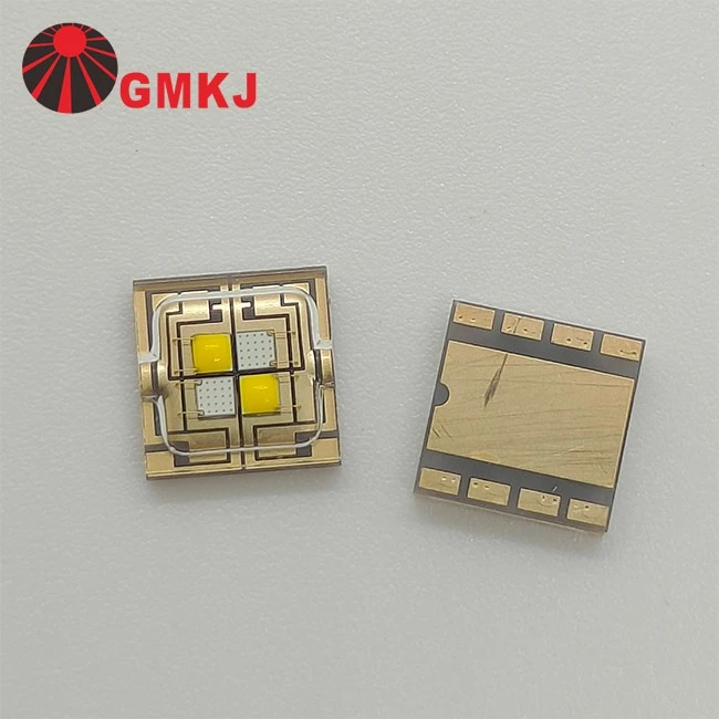 5050 bicolor blue white led 6
